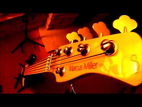 Sire Fretless 5 string Bass Loop