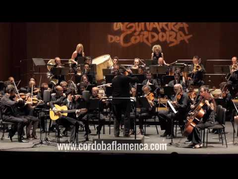 Cañizares ofrece su música a Japón