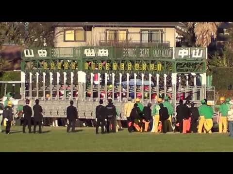 2013 朝日杯FS アジアエクスプレス ASAHI CUP FUTURITY STAKES ASIA EXPRESS