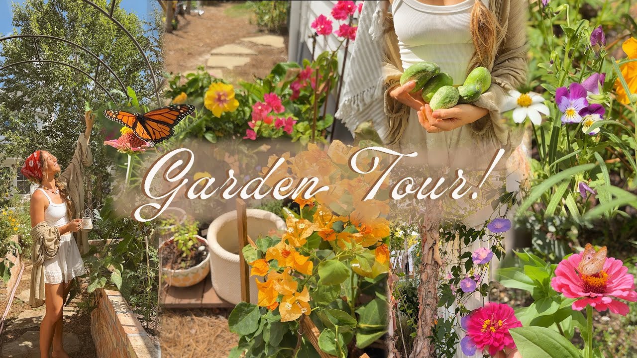 GARDEN TOUR | our Florida suburban backyard oasis (zone 10a) 🌿