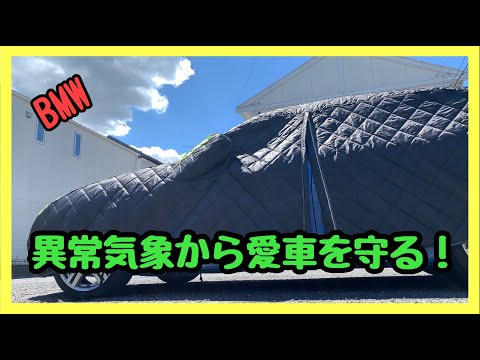 果樹を雹から守るにはどうすればよいでしょうか？収穫物を保存するための当社のシンプルなソリューション!  庭園