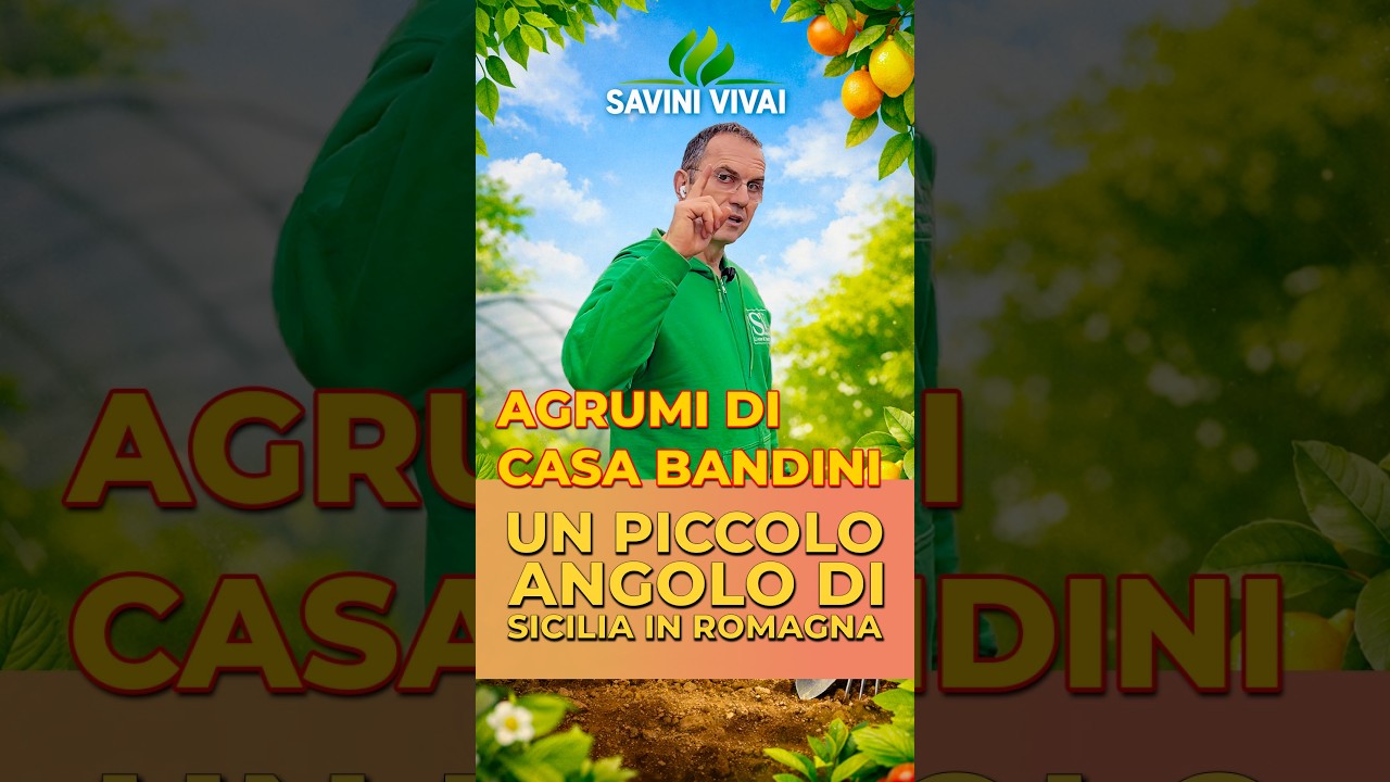 Un angolo di Sicilia piantato in Romagna - Savini Vivai in gita VLOG