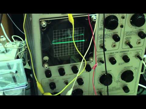 Making Microchips at Home - Cooking with Jeri Part 2