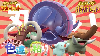 【ポケモンSV】古代現代未来の色ドンファン一家を揃えたーい！【ゆっくり実況】