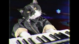 Video The Atavists - Let You Go (Official Video)