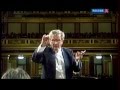 Шостакович - 10-я симфония - Федосеев в Музикферайне-2011 