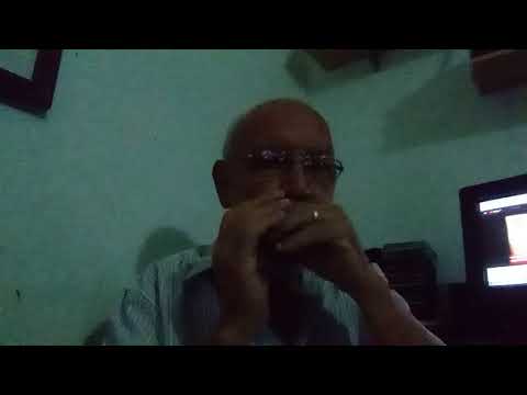 Cien ovejas - cem ovelhas - Mariachi e gaita blues F.