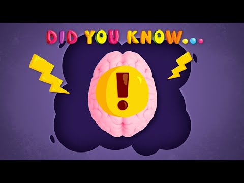 Brain Basics: Anxiety Explained