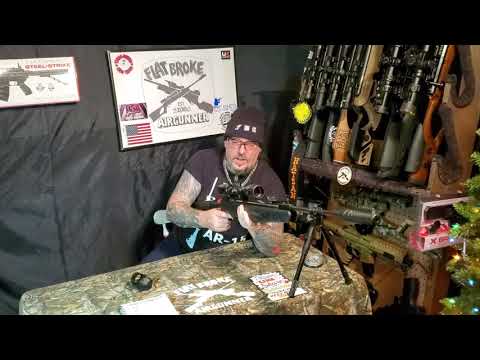 UMAREX OCTANE ELITE AIRGUN IN 22. CAL REVIEW AND SHOTS!!