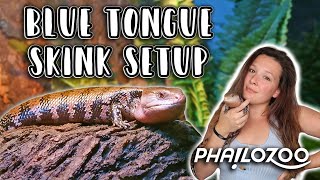 Blue Tongue Skink Set Up // Phailozoo Reptile Enclosure (Discount code)!