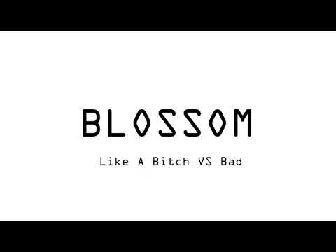 Like A Bitch VS Bad David Guetta TML 2017 Mashup