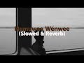 Hamuwee Wenwee (Slowed & Reverb) හමුවී වෙන්වී