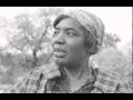 Bessie Jones - turkle dove 