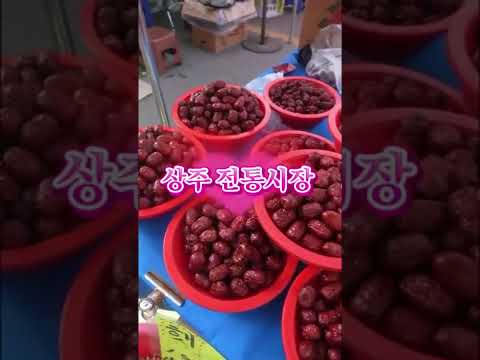 [2026 상주시 sns 서포터즈] 자전거 도시 상주에서 만나는 공짜 힐링 코스