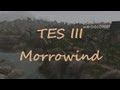 TES 3 Morrowind - 69 серия. Привыкая к магии. 