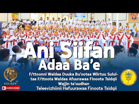 Ani Siifan Adda Ba'e"F/ttoonni WDB Wiirtuu Giddu Galeessaa F/ttoota Finoota Tsidqii Waliin ta'uudhan