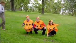 Three Little Pumpkins
