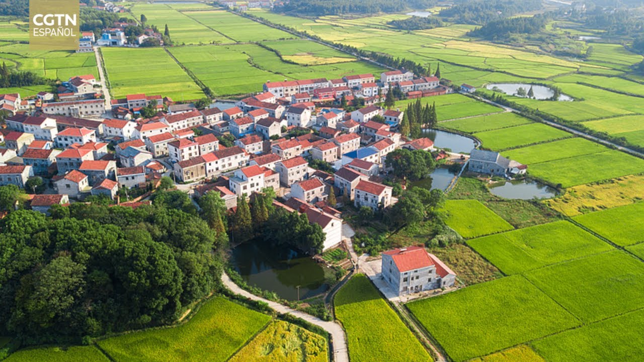 Un académico subraya las estrategias de China para mejorar los ingresos de los campesinos