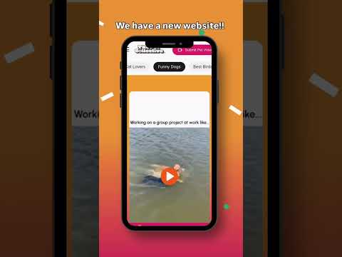 N'attendez pas l'algorithme... voyez toutes les meilleures vidéos de la semaine au moment où vous les voulez.