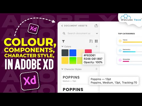 Adobe XD Color Character Styles Components Document Assets | Adobe XD Tutorial