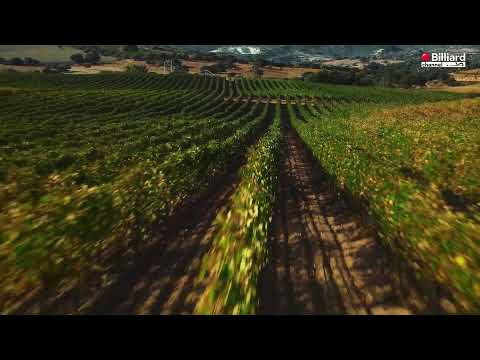 Zanetti - Aniello VS Ju Yeong - Gomez - International Biathlon-Teams CUP 2023 Qualification