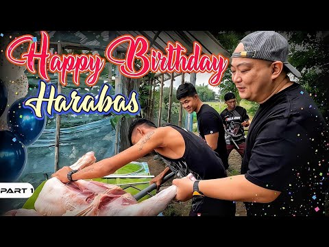 P1-HAPPY BIRTHDAY, HARABAS - EP1035