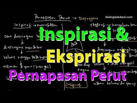 Latihan untuk menghilangkan lemak perut dengan cepat Saraf menurunkan berat badan mengapa