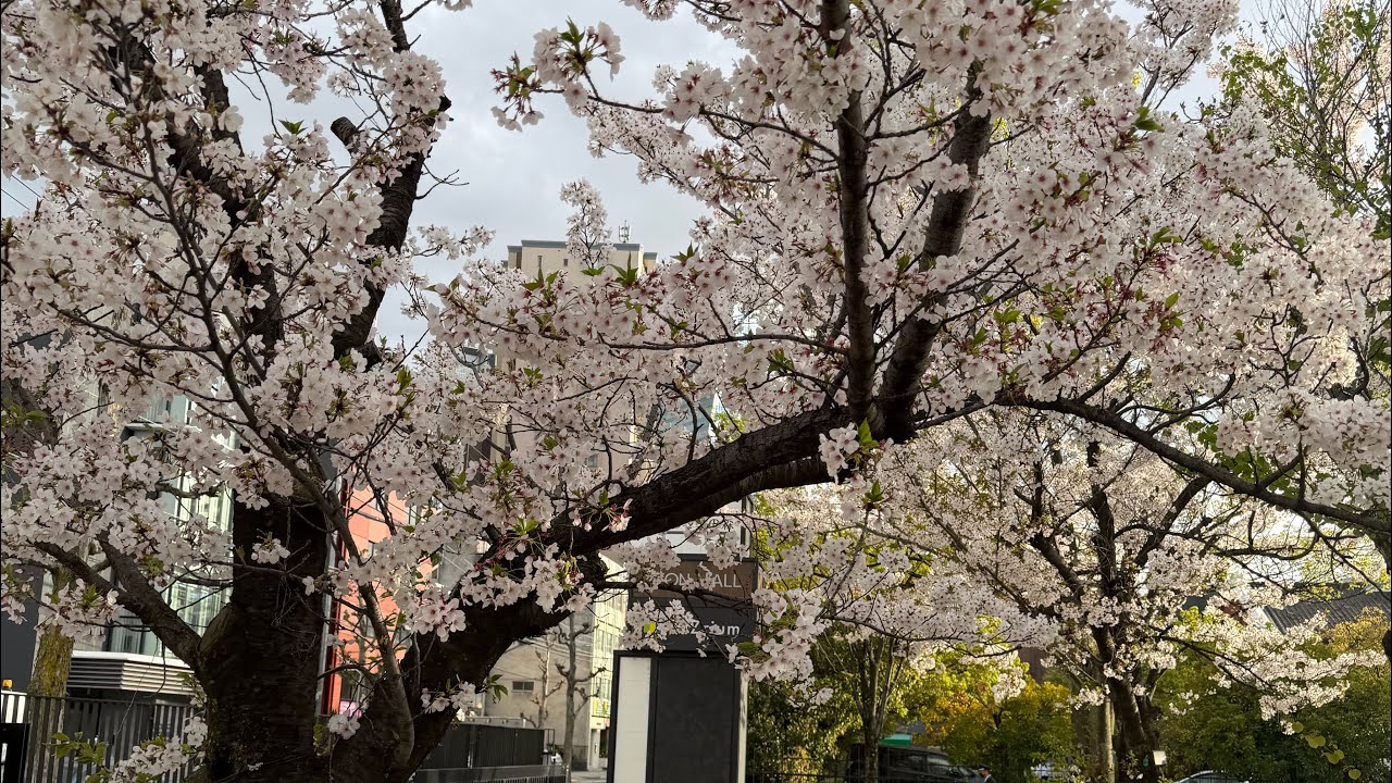 AO VIVO REFLEXÃO DA SEMANA AS ESTAÇÕES MUDAM