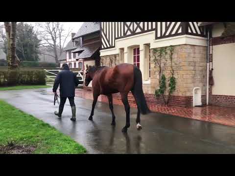 RDE 2018 : Attendu au Haras du Quesnay