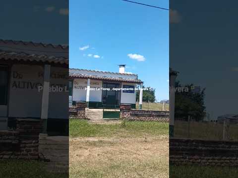 Pueblo Las Flores , departamento de Rivera 🇺🇾 . Interior turbo/mega/ultra profundo .