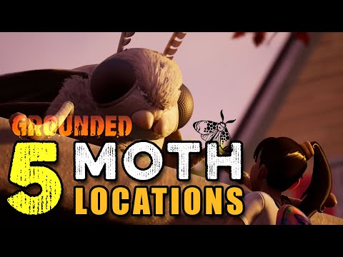 Grounded Tips & Tricks: Moth Locations and Armor!