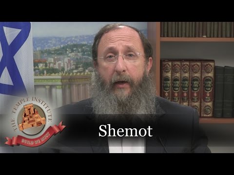 Weekly Torah Portion: Shemot
