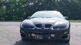 1999 Pontiac Firebird Firehawk Highlights