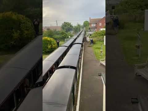 8 miniature steam trains thunder through station blowing whistles (RH&D railway, 95th anniversary)