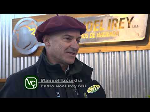 Expo Angus Otoño 2024 Manuel Izcurdia