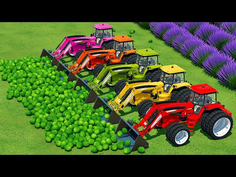LOAD & TRANSPORT WATERMELONS WITH JOHN DEERE TRACTORS AND ISUZU TRUCKS - Farming Simulator 22