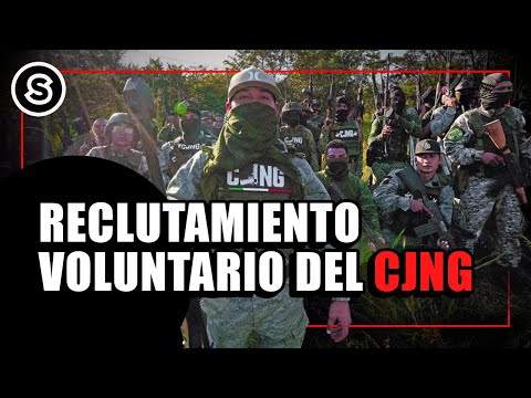 Los JÓVENES que buscan entrar al NARCO por su propio gusto | Reportaje