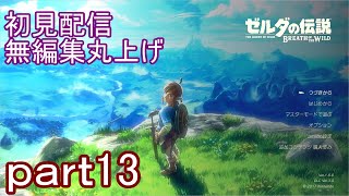 【初見配信】ゼルダの伝説　ブレスオブザワイルド　13日目【無編集丸上げ】