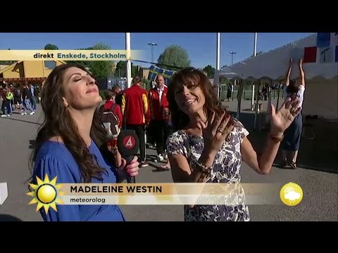 Så vet du om det regnar i eftermiddag - Nyhetsmorgon (TV4)