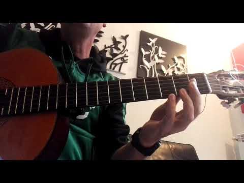 Furtunato Pino Daniele cover tutorial accordi