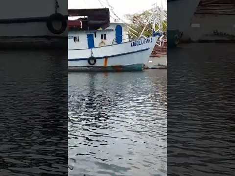 VARCOS  EN EL ESTERO