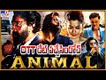 యానిమల్ OTT డేట్ వచ్చేసిందోచ్‌.. | Animal OTT Release | Sandeep Reddy Va