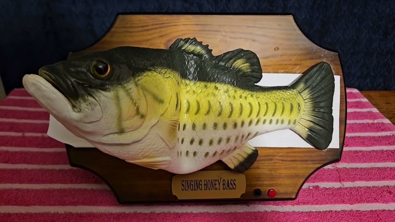 Singing Fish Collection 5