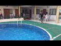 Goa Swimming Pool