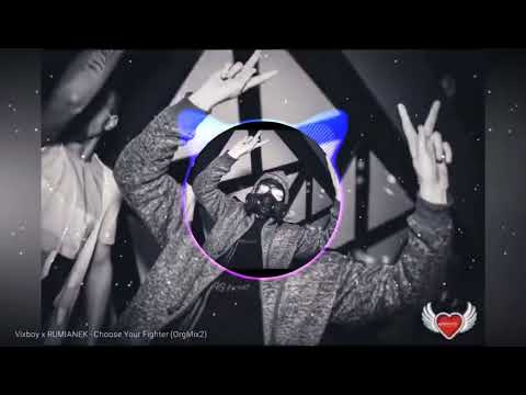 VIXBOY x RUMIANEK- Choose Your Fighter (orgmix2) [DEMO]