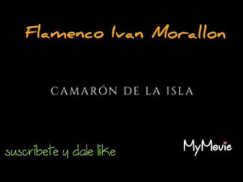 Hijo de camaron ( Mancloy ) y Camaron de la isla - Dicen de mi