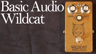 Video thumbnail for Basic Audio Wildcat Fuzz by Joe Perkins