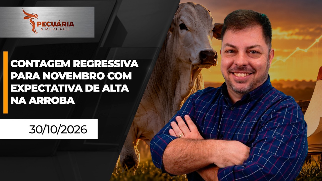 Contagem regressiva para novembro e a expectativa de novas altas para arroba