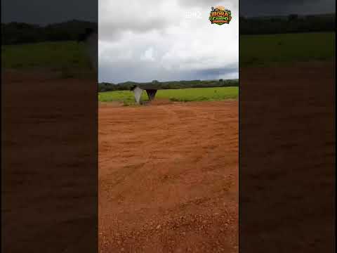Fazenda à Venda em São João da Aliança - Goiás #shorts #fazenda #agronegócio