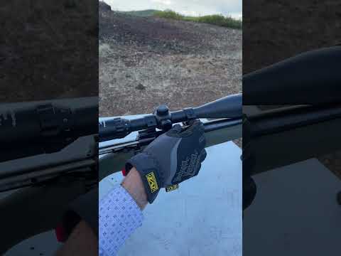 HOWA 1500 .243 Win, Bolt Action Rifle. Hogue Stock, Bull Barrel. #shorts